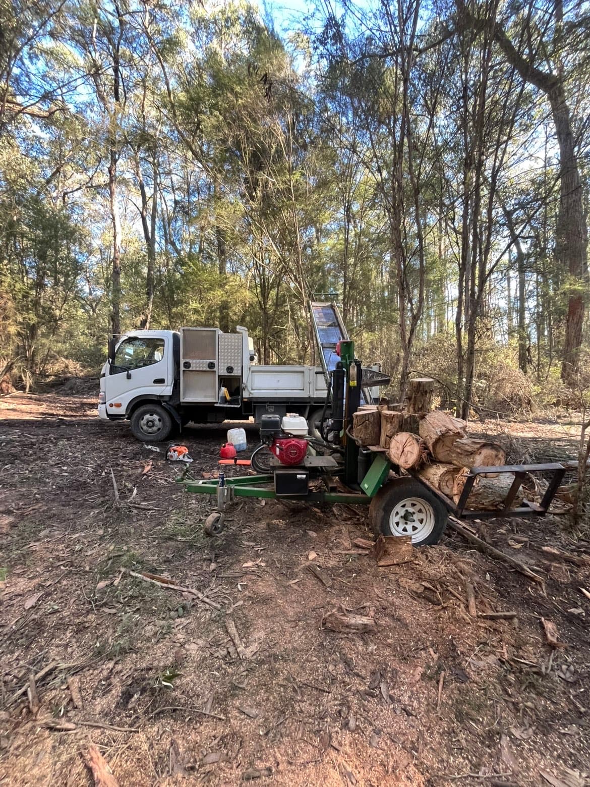 Loader working timber at the yard — land clearing and processing