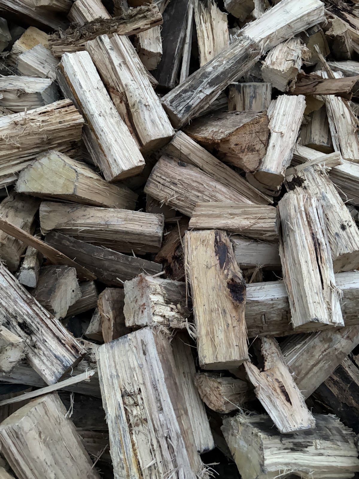 Blue Gum