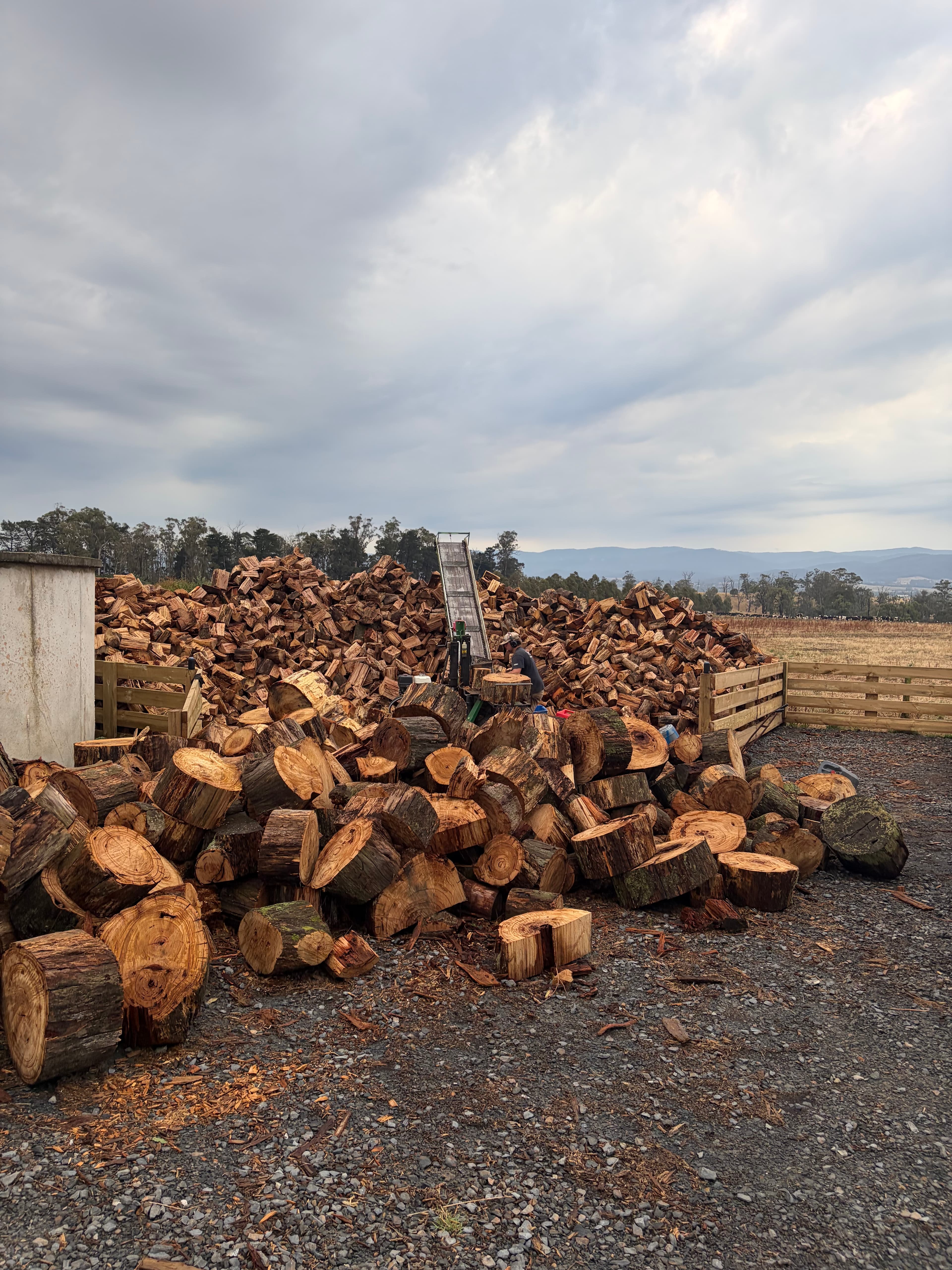 Firewood processing conveyor at AA Firewood Supply Longwarry