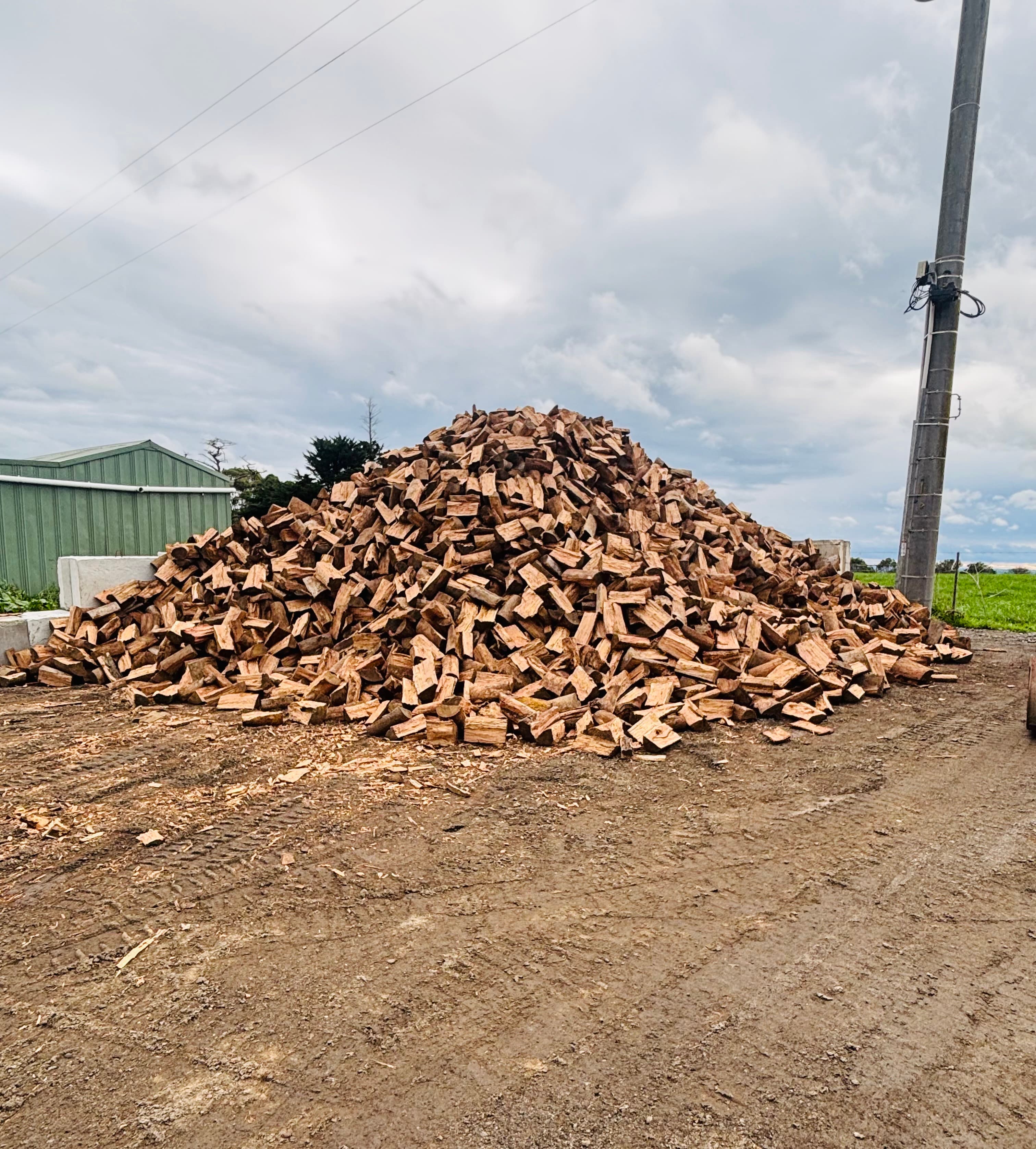 Processed firewood stacked at the yard