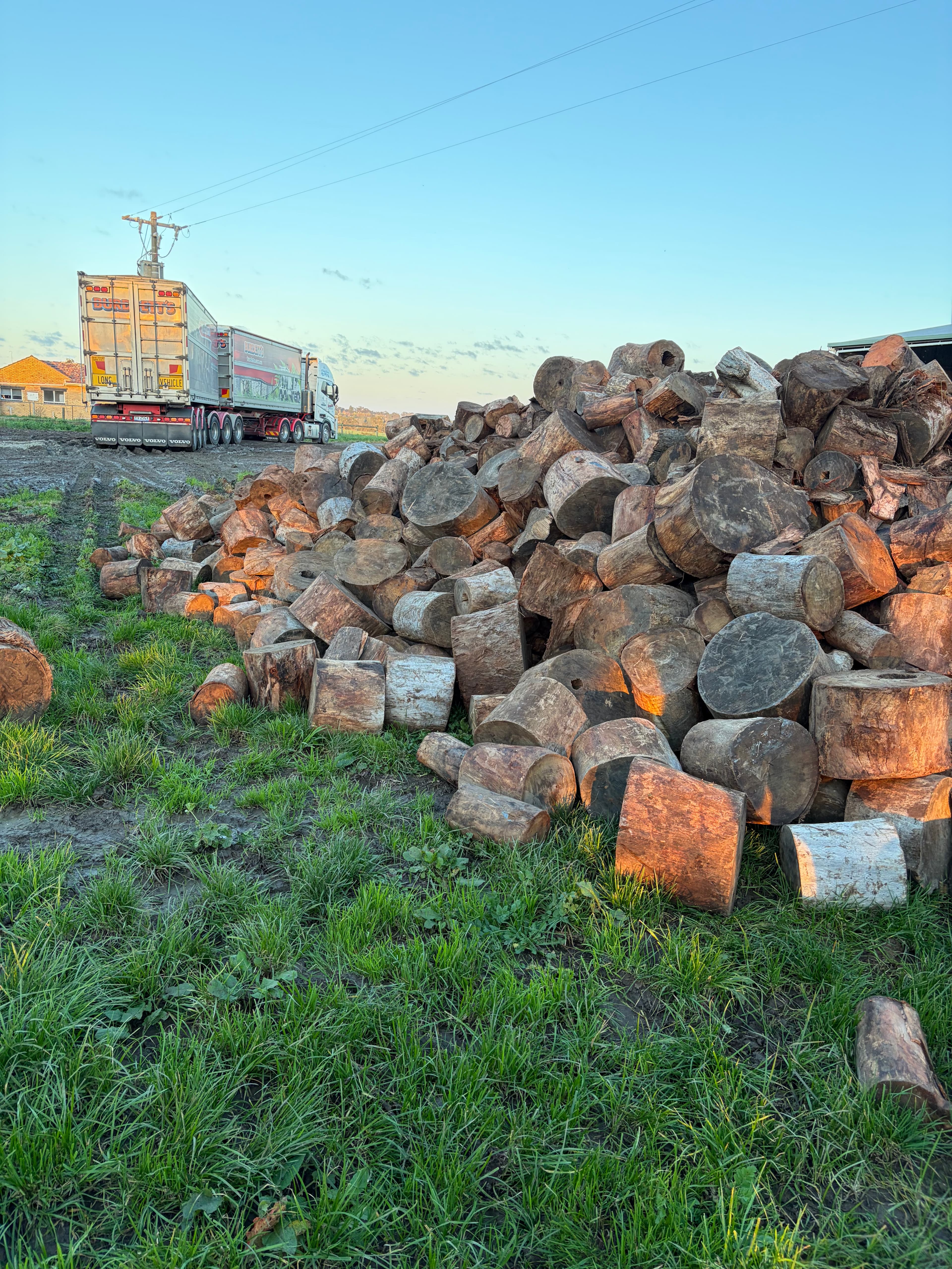 Raw log stockpile with B-double truck at the yard