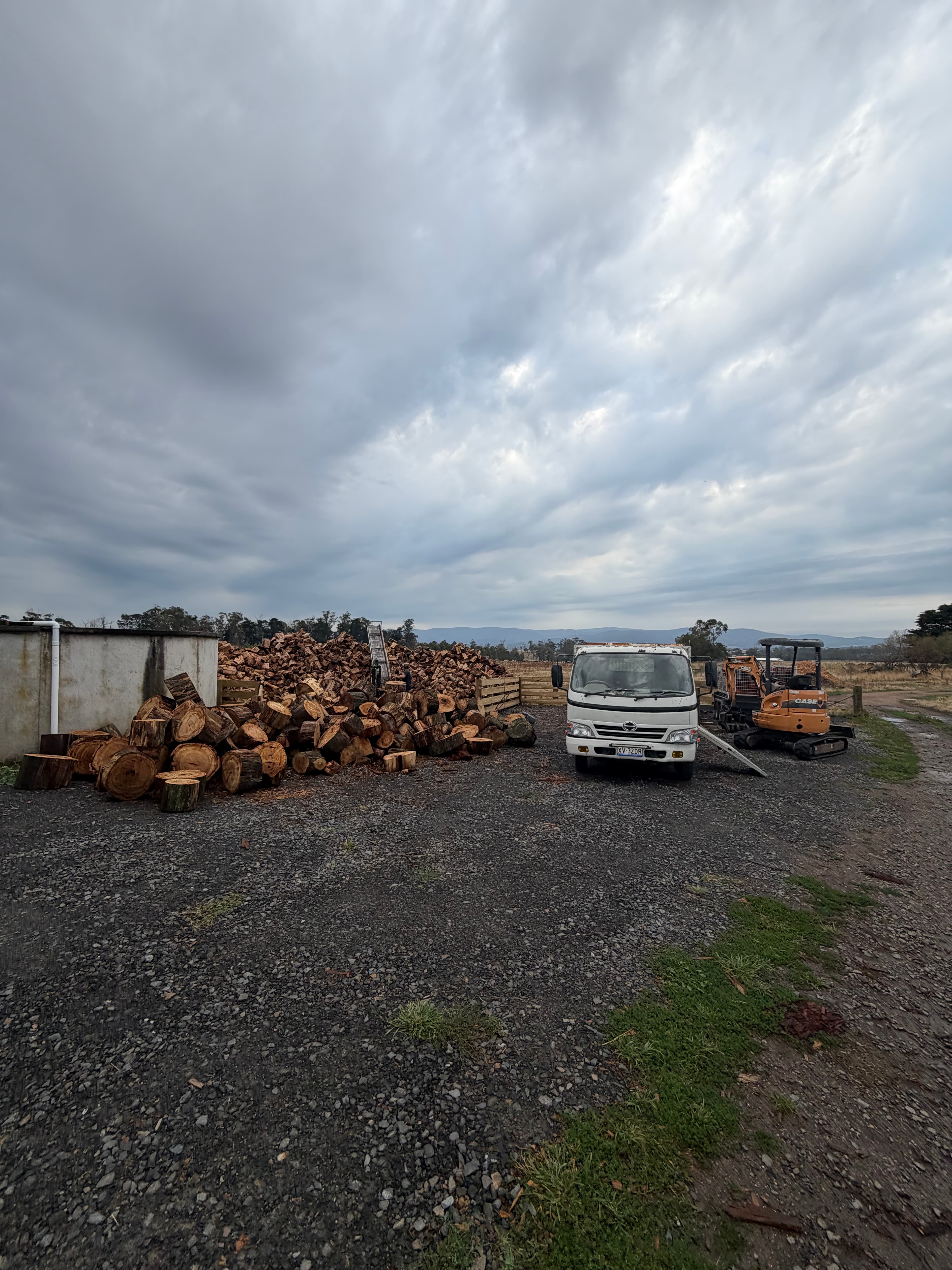 Unsplit log rounds ready for processing