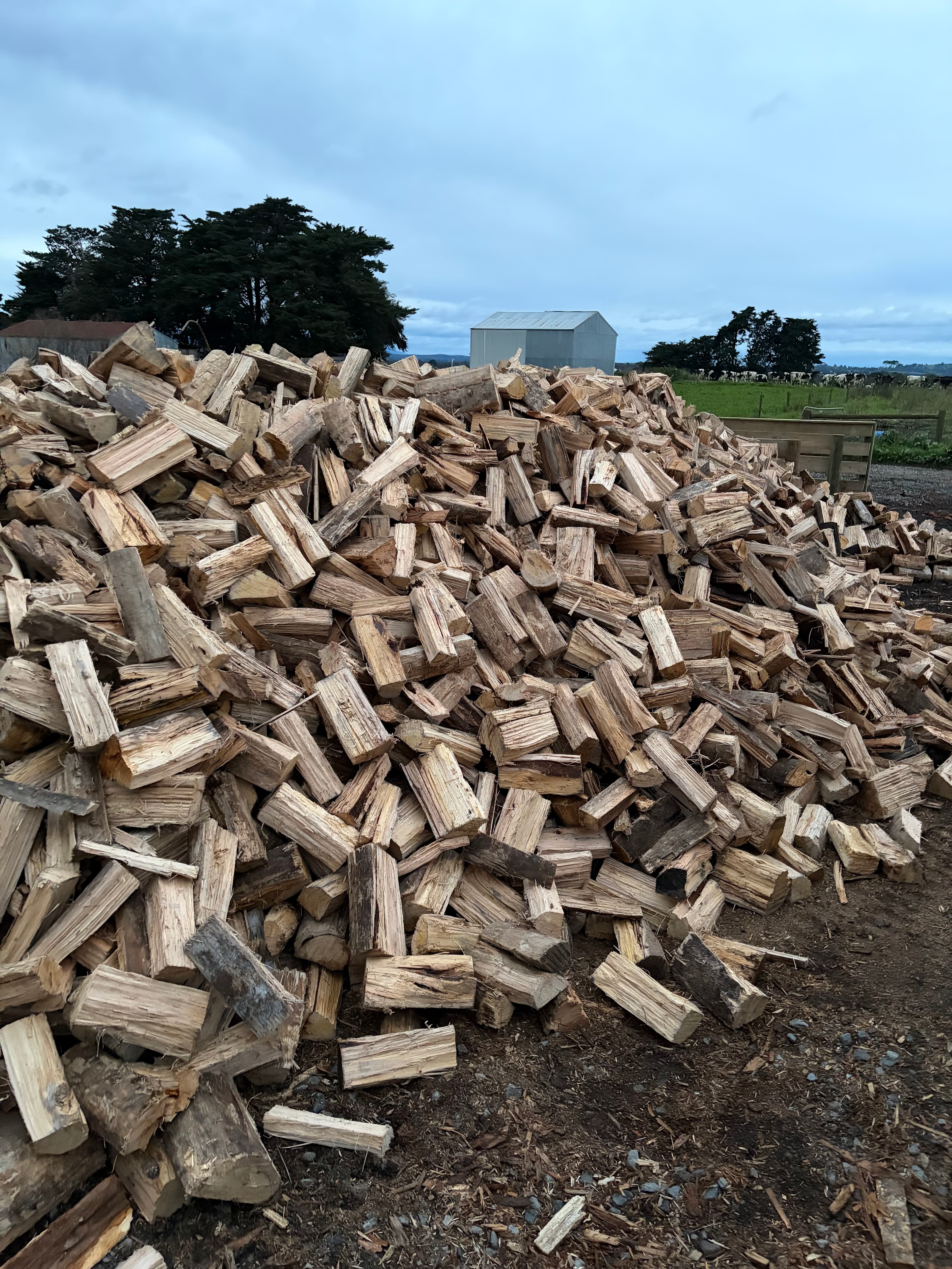 Overhead view of split firewood pile