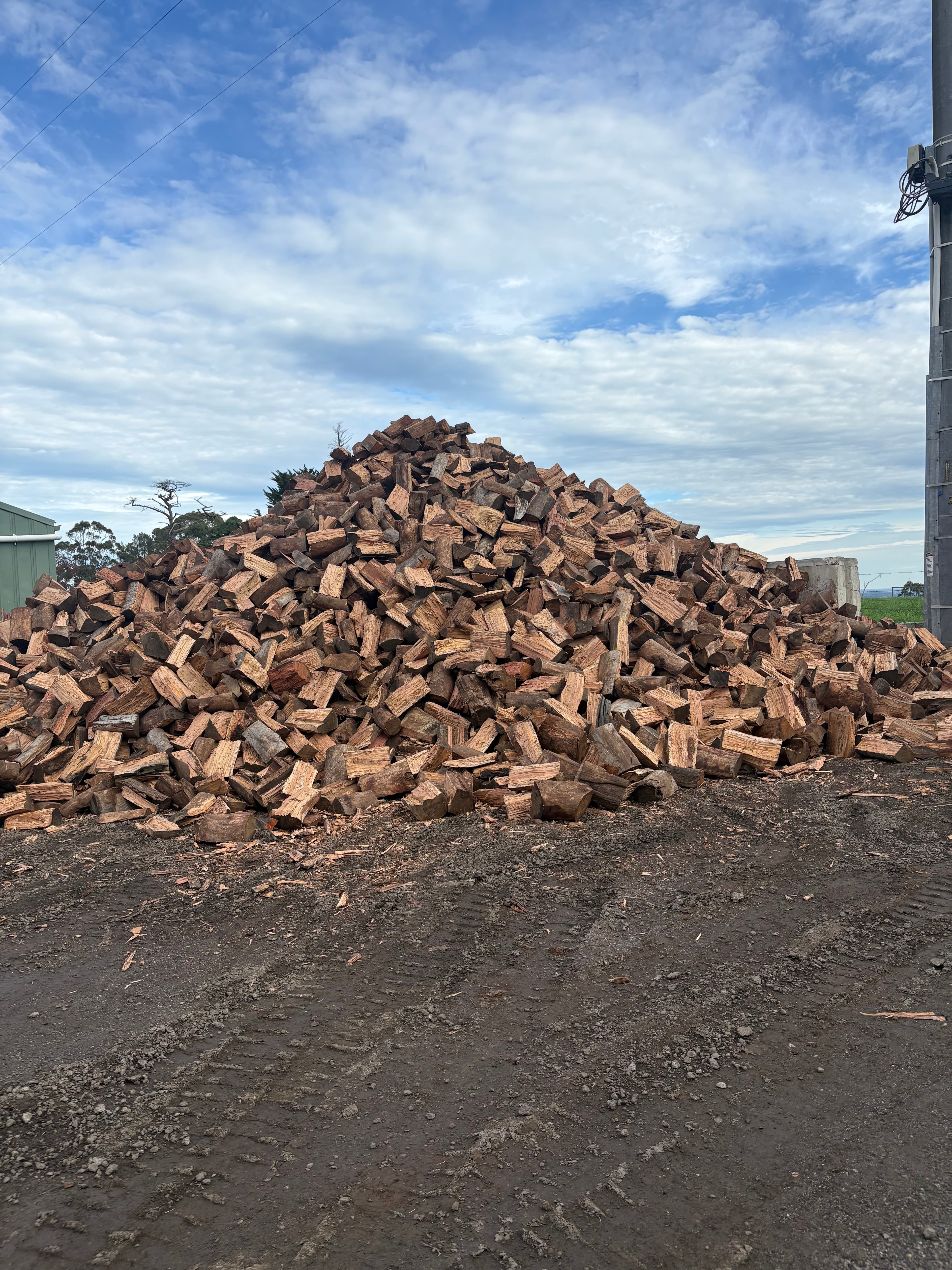 Midday view of firewood stockpile
