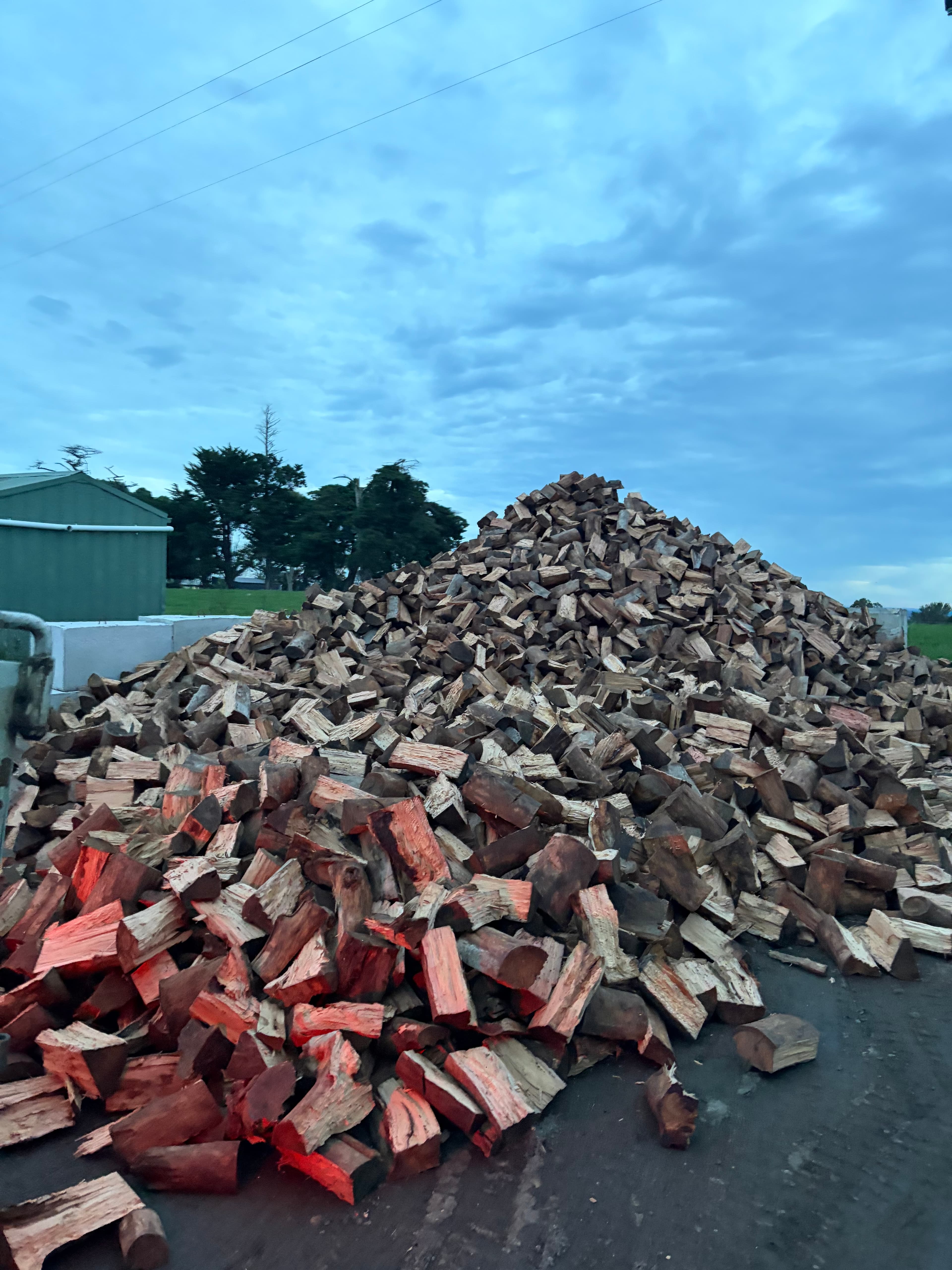 Afternoon light on a firewood stockpile